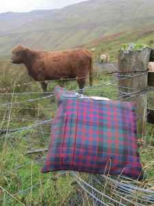 MacDonald Modern Kilt Cushion – Handmade Scottish Charm for Your Home