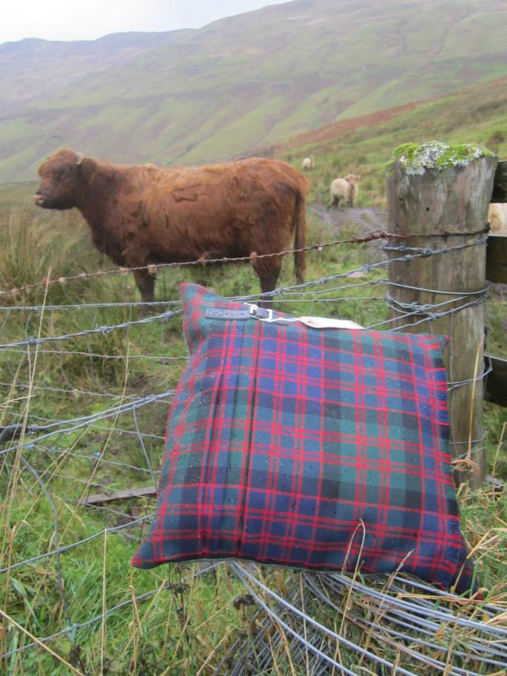 MacDonald Modern Kilt Cushion – Handmade Scottish Charm for Your Home