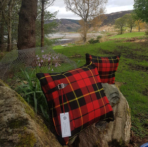 Wallace Modern Highland Kilt Cushion